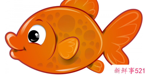 做梦梦见火头鱼