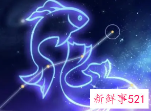 双鱼座喜欢人是什么样的