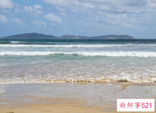 有钱人为什么喜欢普通的女生