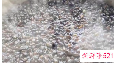 在家自制豆豉的方法