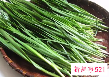 怀孕能吃韭菜吗早期