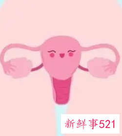女人的卵巢在哪里