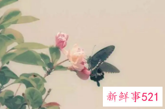 王氏起名字大全诗经