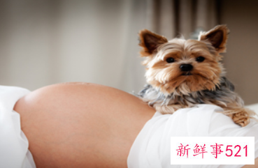 孕妇要怎么保养