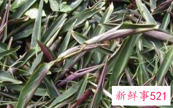 世界上最甜的水果是什么