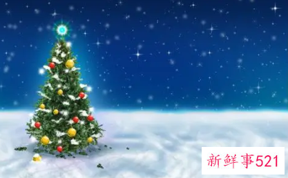 十二星座的圣诞夜