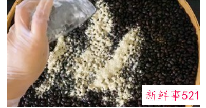 在家自制豆豉的方法