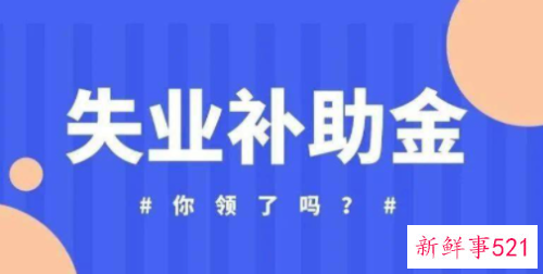 今年的失业补助金政策有啥特点