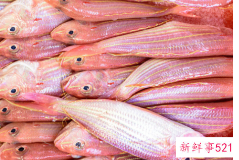 清蒸什么海鱼好吃