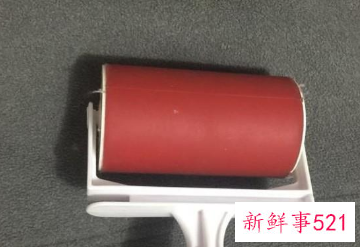 一招简单清除猫毛