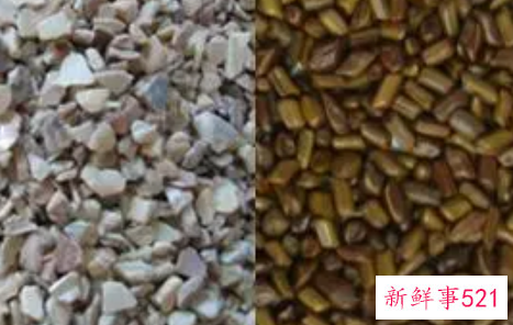 石决明和决明子有什么区别