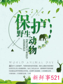 野生动物的保护措施有哪些