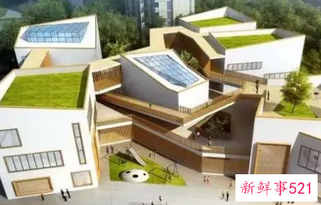 幼儿园科学领域的核心素养