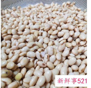 家庭自制豆豉到底要发酵几天