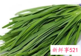 怀孕能吃韭菜吗早期