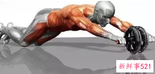 使用健腹轮练腹肌有用吗