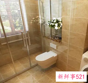 大门正对马桶中间隔着一道墙