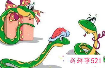 蛇女一见钟情生肖男