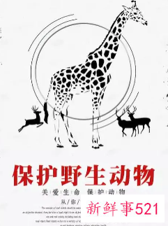 野生动物的保护措施有哪些