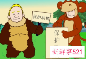 保护动物小建议10条