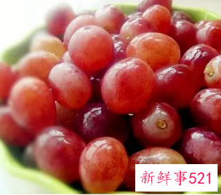 红提子籽能吃吗