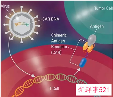 120万一针的抗癌药前景如何