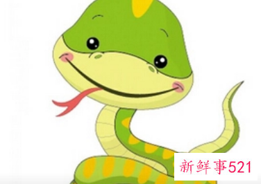 蛇的特性及精神