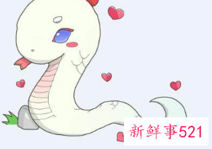 1977年属蛇人一生运势