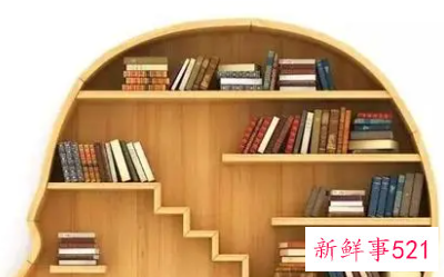 最新的读书心得体会