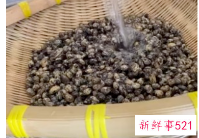 在家自制豆豉的方法