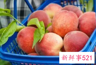 桃子摘下来能放多久