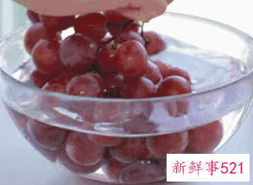 红提最佳保存温度