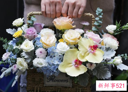 看望病人送什么花好