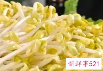 各种豆芽的营养价值及功效
