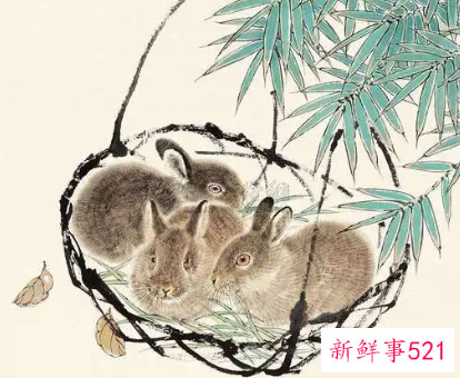 属兔人遇虎年必有一破