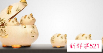 属猪运势及运程