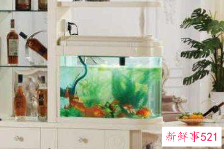 客厅风水鱼缸如何摆放