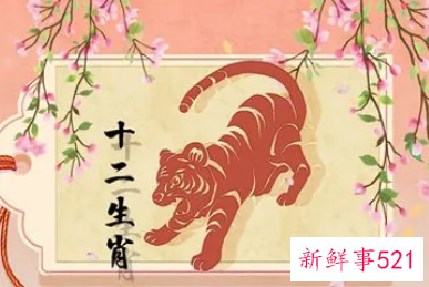 属虎人2022年下半年运势女