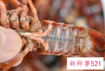 龙虾的做法大全简单