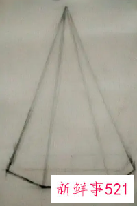 幼儿园画画大全简单漂亮