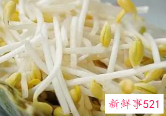 各种豆芽的营养价值及功效
