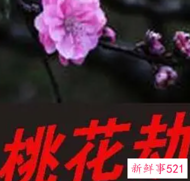 女人桃花劫怎么解决