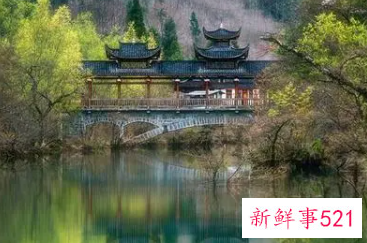 已婚女人梦见仙境般的美景