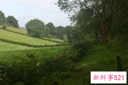 美丽的大自然作文