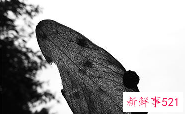 离婚起诉一方不同意能离吗