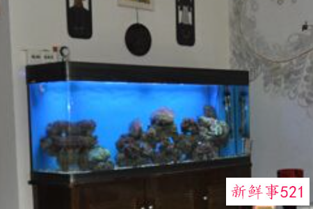 客厅风水鱼缸如何摆放