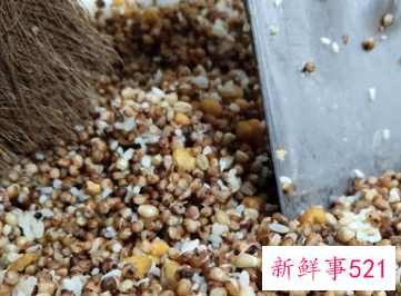 高粱酒为什么有点苦味