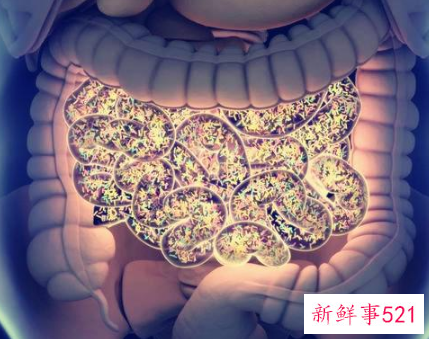 接吻会变瘦是真的吗