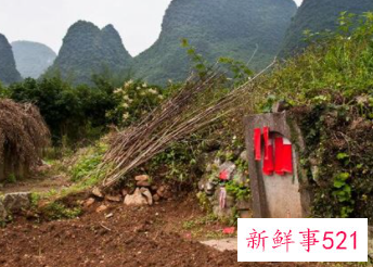 孕妇梦见坟墓是什么寓意