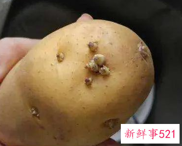 流产后必吃的12种蔬菜